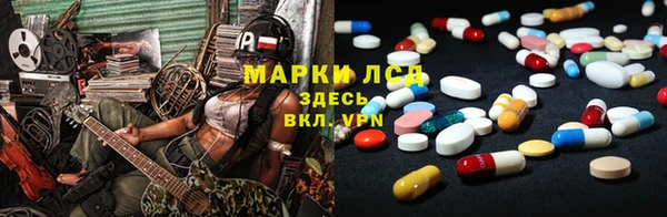 прущие грибы Зеленодольск