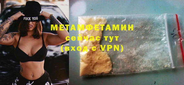 прущие грибы Зеленодольск