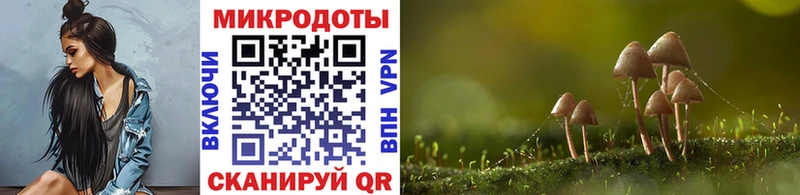 Купить закладки  Волосово  Псилоцибиновые грибы прущие грибы 